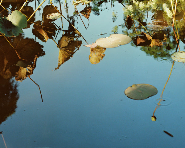 Wondering People_Golden, Thailand_6