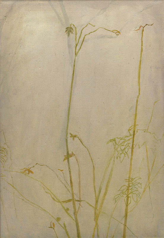 Wondering People_Rose Garden_27