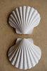 Wondering People_Scallop Shell_3