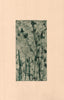Wondering People_Teasles_4