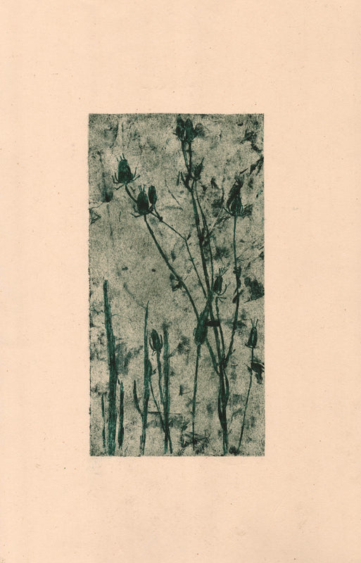 Wondering People_Teasles_3