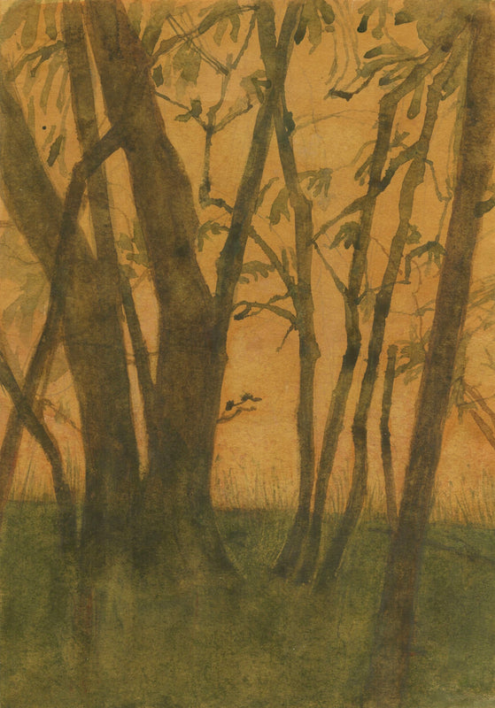 Wondering People_Trees near Wiston_23