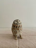 Wondering People_Owl V_1