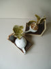 Wondering People_Page Turnip Bookends Leafy Green_3