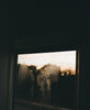 Wondering People_Point Lookout_1