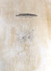 Wondering People_Protostar_25