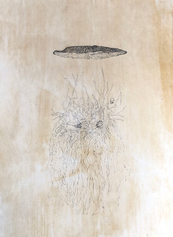 Wondering People_Protostar_38