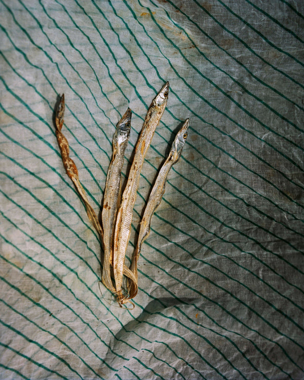 Wondering People_Untitled_1