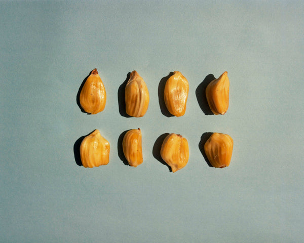 Wondering People_Untitled_11