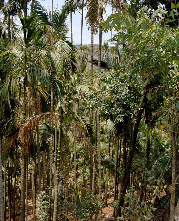 Wondering People_Untitled_17