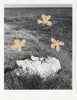 Wondering People_Breakfast In Sardinia With Dogwood Flowers_189