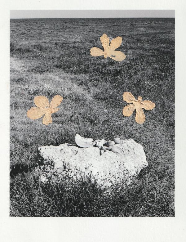 Wondering People_Breakfast In Sardinia With Dogwood Flowers_2