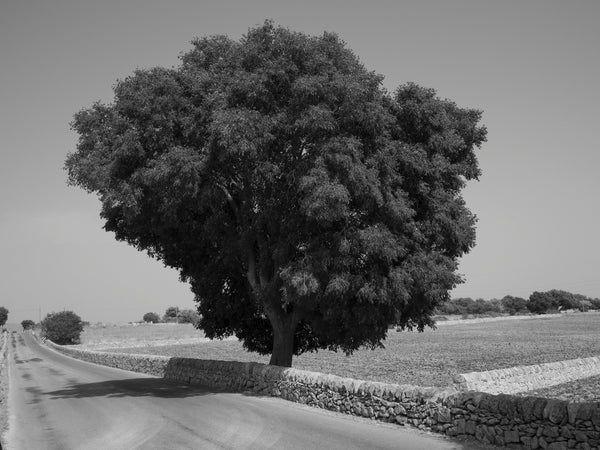 Wondering People_Sicily, 2021_34