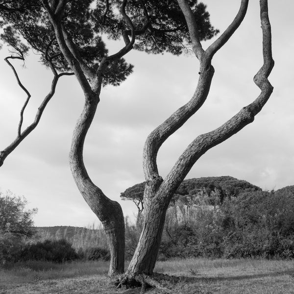 Wondering People_Martine Pine_35