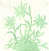 Wondering People_Hairyweeds_565