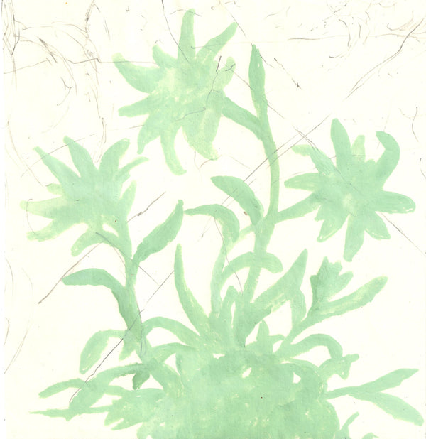 Wondering People_Hairyweeds_31