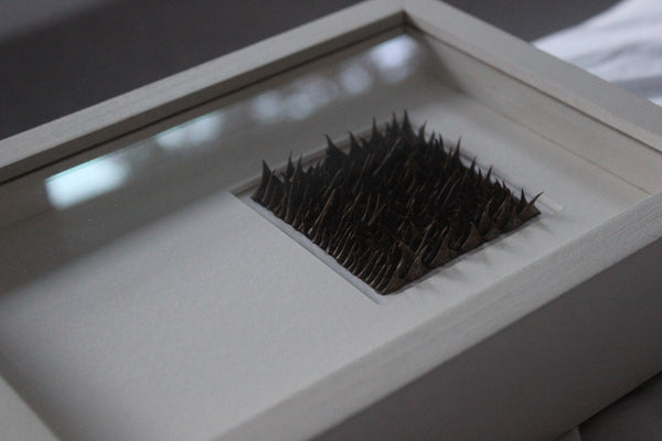 Wondering People_Bound_6