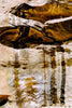 Wondering People_Rock_67