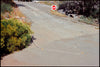 Wondering People_Path_962