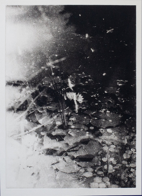 Wondering People_Lily Pond_13