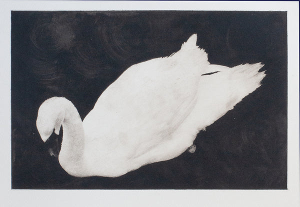 Wondering People_Swan_12