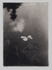 Wondering People_Moth_2