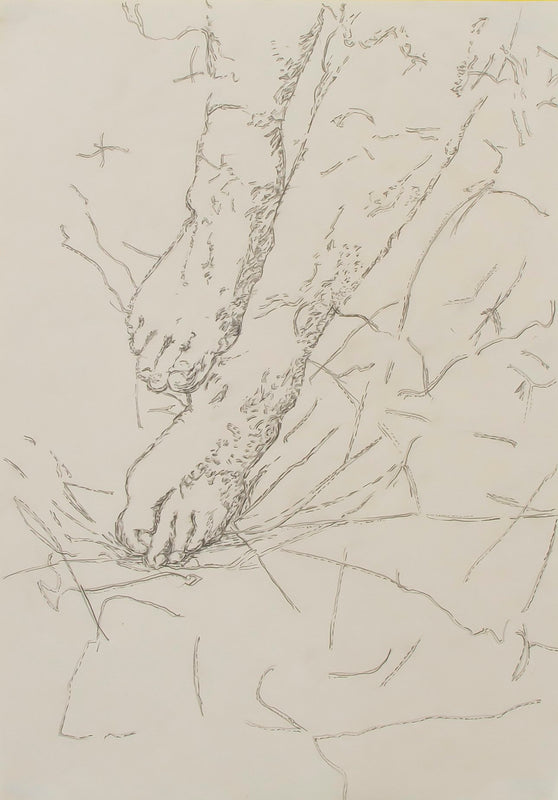 Wondering People_The Thud Of Feet_45