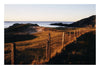 Wondering People_Colonsay Sundowner_302