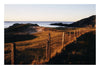 Wondering People_Colonsay Sundowner_223