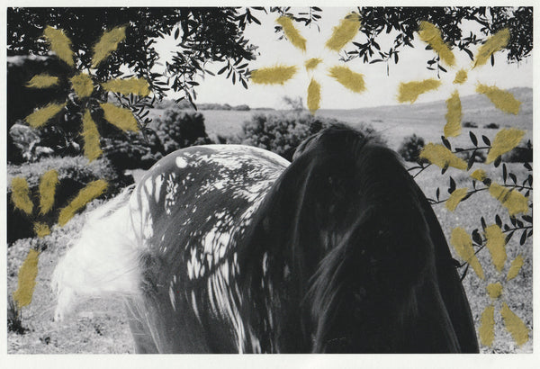 Wondering People_White Horse With Green Flowers (Collage)_11