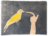 Wondering People_Bird_149