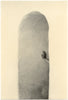 Wondering People_Untitled (Hand And Wall)_539
