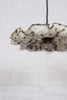 Wondering People_Seaweed Diamond Stingray Ceiling Pendant_6