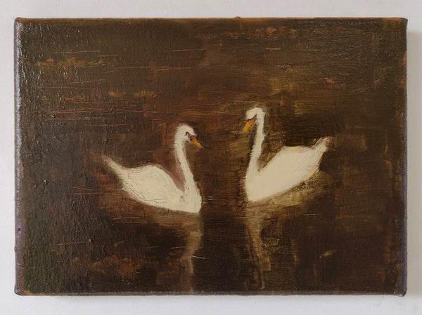 Wondering People_Swans_8