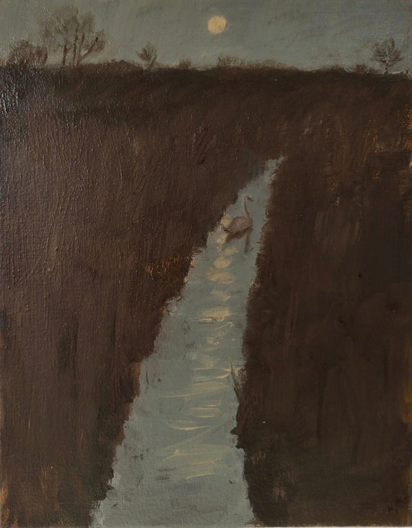 Wondering People_Swan Stream_4