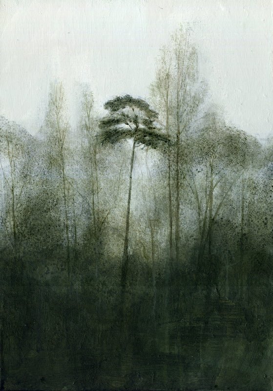 Wondering People_Trees At Pareham_2